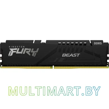 Оперативная память Kingston FURY Beast 16GB DDR5 PC5-48000 (KF560C36BBE2-16)